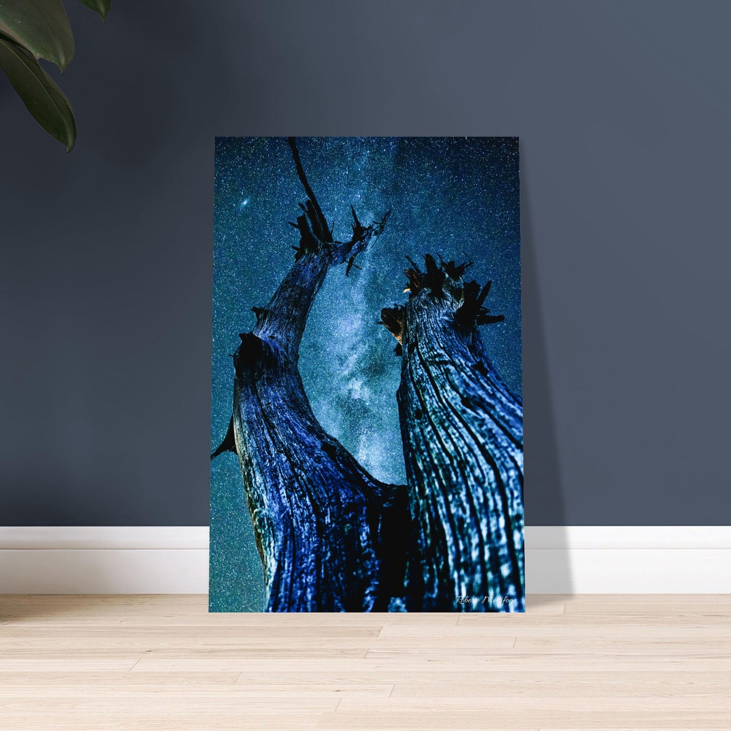 e0a32b69-c4fa-4d45-bf89-4a44c8a742c7