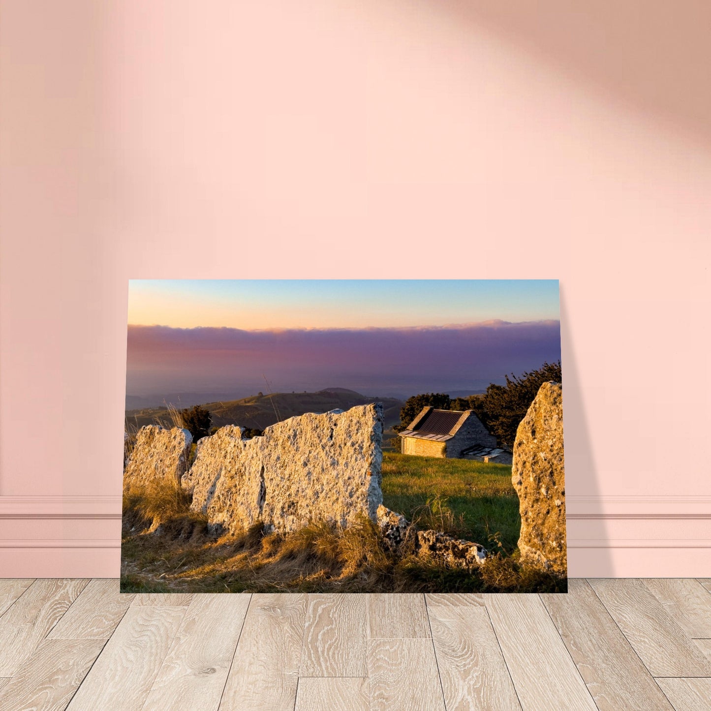 ea65abfe-d87a-4d8d-8b76-9f3e5464803a