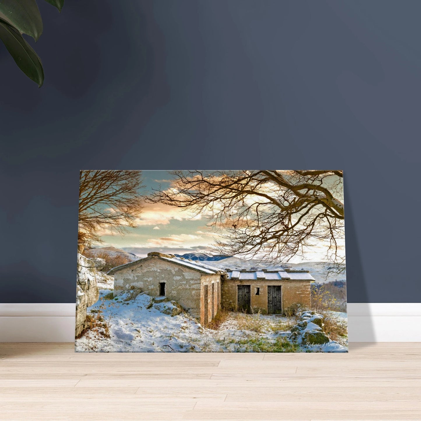 ef208da8-32ef-4482-a339-dd7255c84025