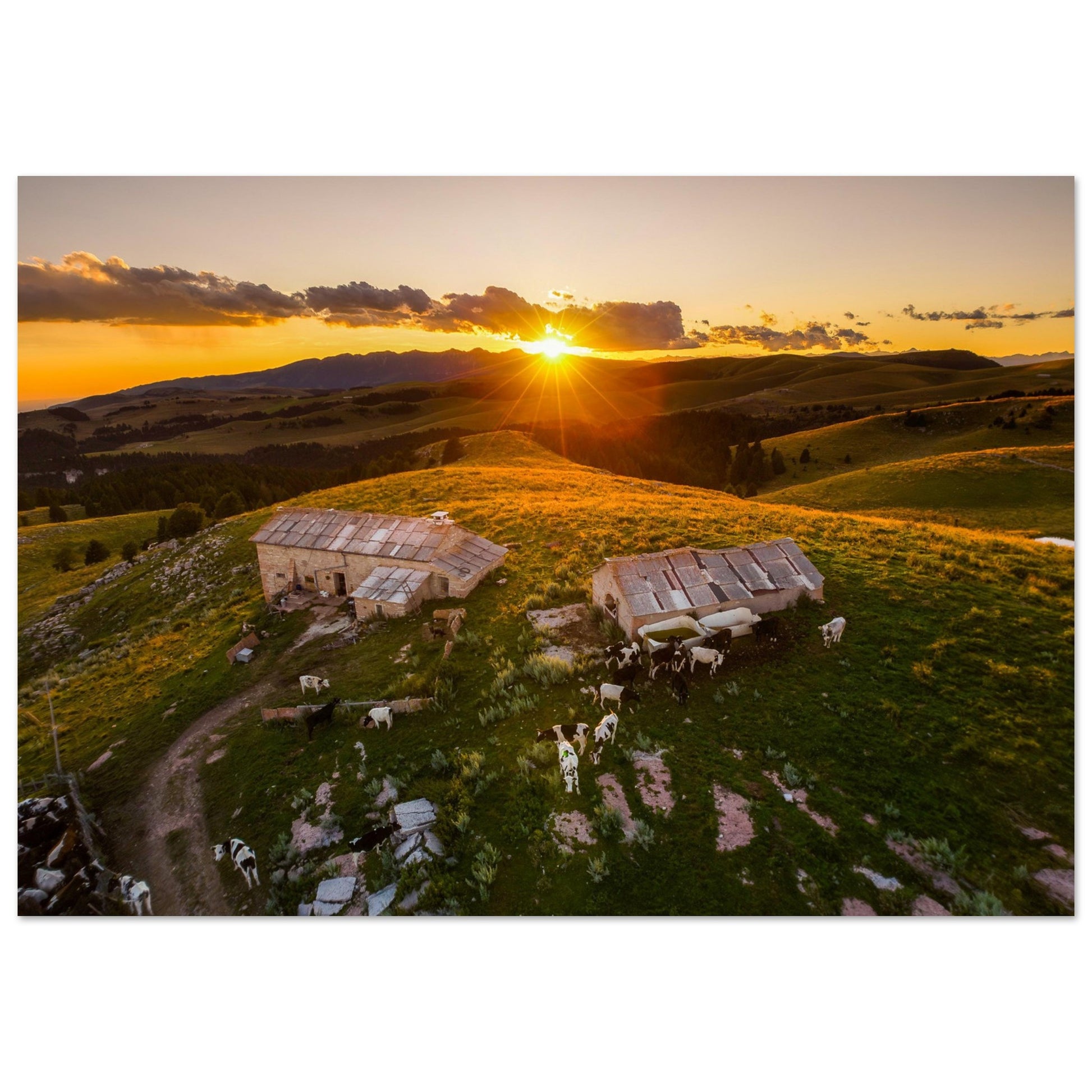 f1191207-ee6c-4873-8737-a6547ae7fa39