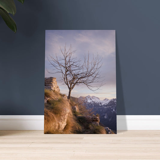 f24ac23d-1316-4a6b-8346-77d50a9d2621