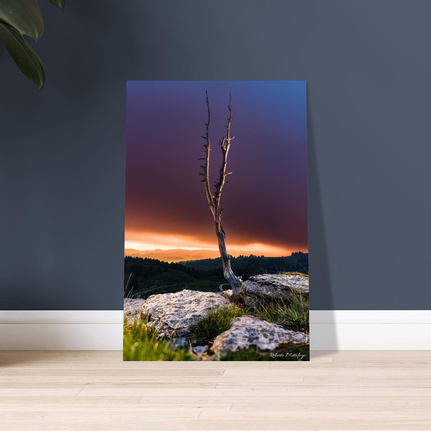 f5f34c49-347f-4a12-aeca-49f839949786