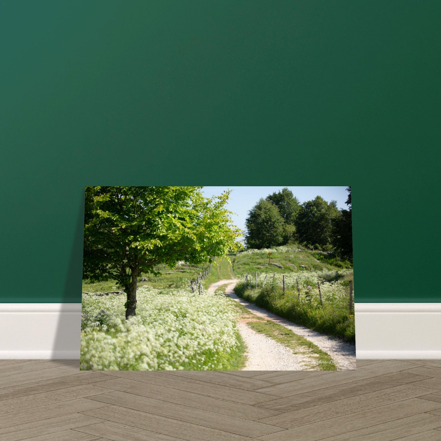 f648199e-a4ba-42eb-93a9-75f8269eaee6