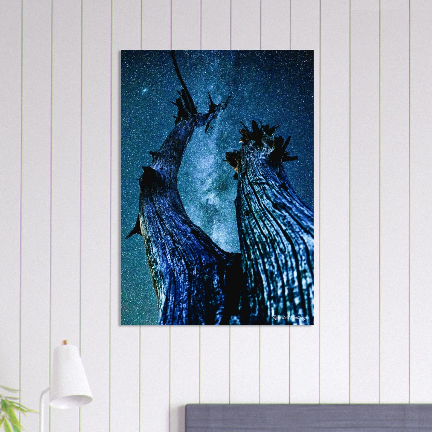 fb4590e6-1bed-48bf-af80-124fac7e3f99